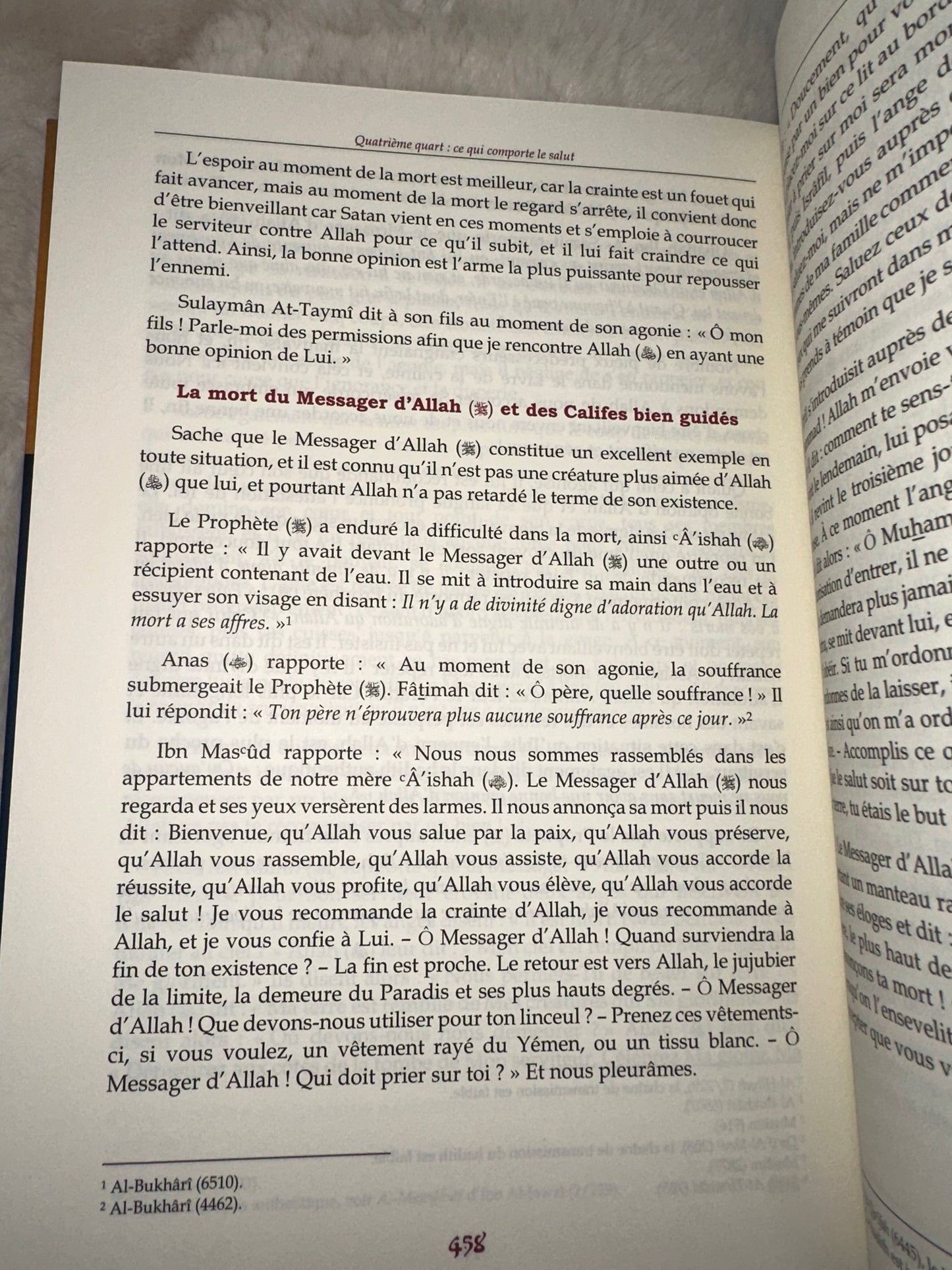 L’esprit De L’âme D’après Al-Ghazali, Ibn Al-Jawzi Et Ibn Qudamah