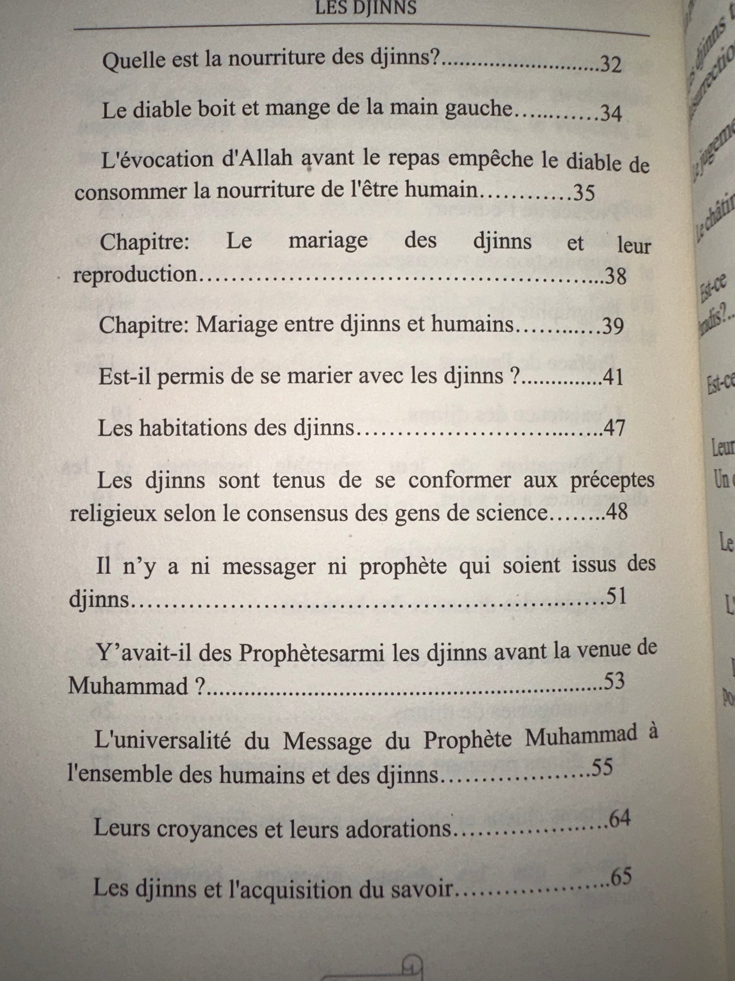 Les Djinns - d'après Al Imam As-Suyuti