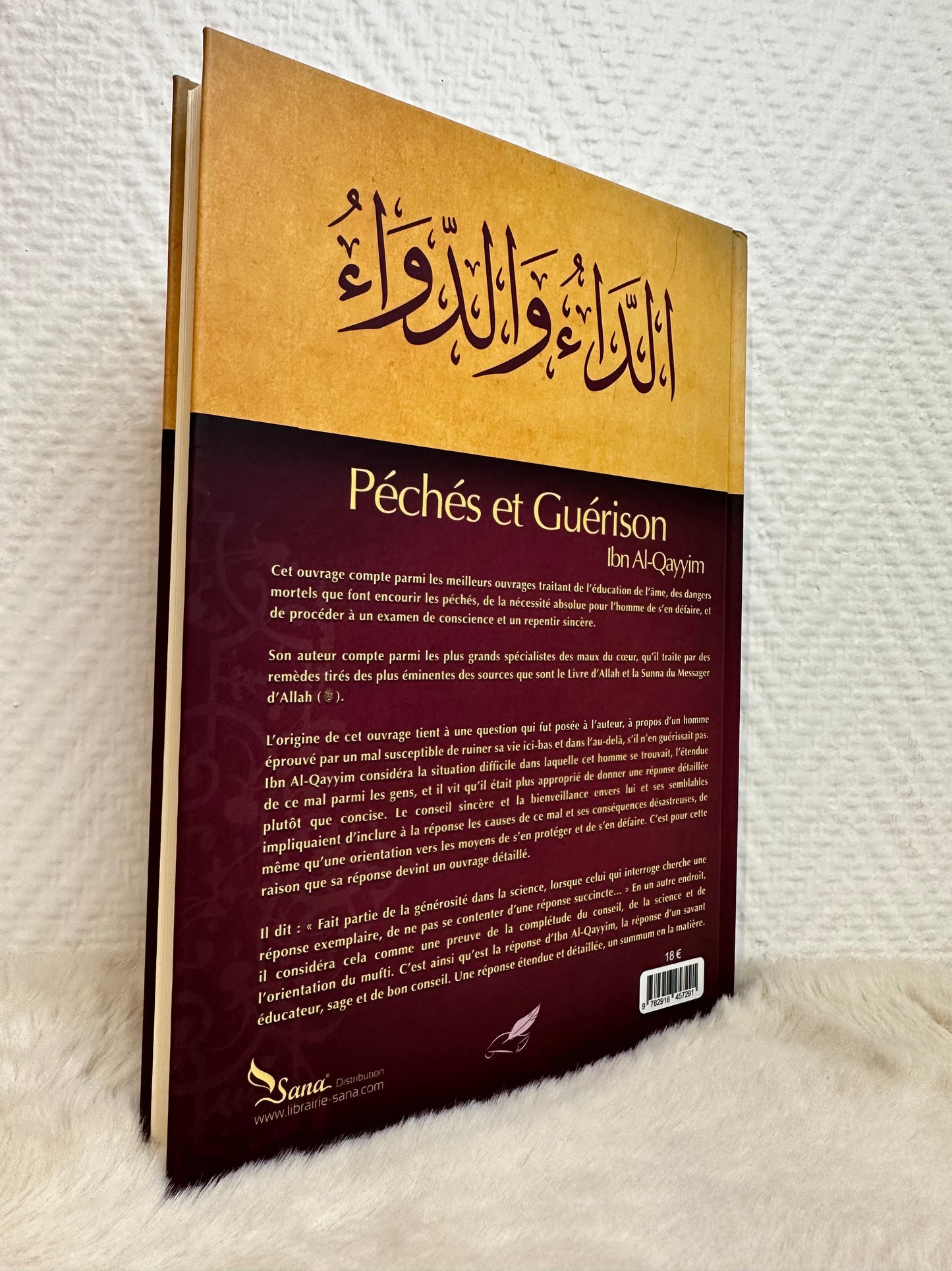 Péchés Et Guérison, D'après Ibn-Qayyim Al-Jawziyya (2e Édition)